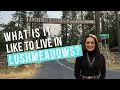 Living in Mariposa CA What Lushmeadows Estates Is Really Like