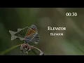Blu DeTiger - Elevator