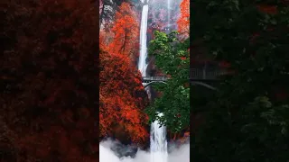 Allah Akbar ش ه ر ر م ض ان ال ذ ي أ نز ل ف يه ال ق ر آن هدى للناس شار ك ت ؤج ر Share 