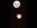 Download Lagu petasan love