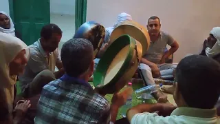 بالله يا فرسان العسة من روائع الشيخ محمد بولعراس عليم 2022 