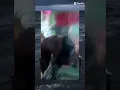 Binuang 3
