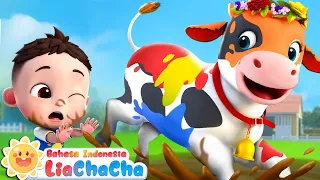 sapi warna warni moo moo moo lola si sapi lagu anak anak liachacha bahasa indonesia