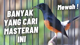 silahkan di download masteran murai batu full isian tembakan ini