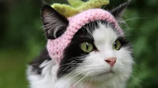 Crocheting A Strawberry Hat For My Cat
