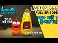 Download Lagu 🆂🅿🅴🅲🅸🅰🅻▶LARVA S01 | 라바 시즌 1 | FULL Episode | 시간순삭!! 코믹 애벌레들의 하수구 생존기!! | 케이블_BOX