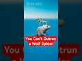 Why You Can t Outrun a Wolf Spider