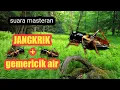 Download Lagu suara masteran JANGKRIK jeda gemericik air | cocok untuk masteran murai batu, cendet, kacer, dll.