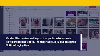 REMOVED 87 761 Infringing Files In 1 Hour On Mega Nz Cyberlocker Platform 