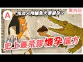 Lagu 一次看懂古代好孕偏方！Sandra 懷孕了！？歷史上有人用糞便避孕、移植猴子蛋蛋回春？｜驚奇說 #194