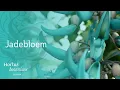 Download Lagu Jadevine bloeit in de Leidse Hortus | Kroonjuweel van de lente