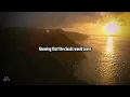 flipturn – Swim Between Trees (Lyrics)