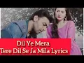 Download Lagu Dil Ye Mera Tere Dil Se Ja Mila hai Lyrics || Mere Humsafar ( Female Version) ||