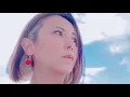 HAREWATARUOKA 晴れわたる丘  / RYO the SKYWALKER / DJ SEIIKO セイコ DUB（説明　歌詞付き）レゲエ 名曲