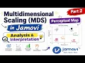 Multidimensional Scaling MDS in Jamovi Perceptual Map Analysis Interpretation Part 2