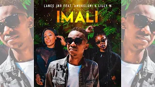 lance jnr imali feat amukelani u0026 lilly m official audio 