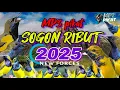 Download Lagu suara MP3 pikat sogon‼️ terbaru anti zonnkkkk