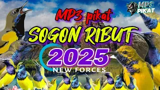 suara mp3 pikat sogon terbaru anti zonnkkkk