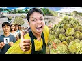 Download Lagu ขายทุเรียน ไม่เหมือนใครในโลก