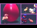 Vintage psychology study of imprinting in ducks Behaviorism duck science