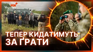 URGENT A FINE Of Over A HUNDRED THOUSAND Or PRISON The Cabinet Wants A Harsher Punishment For F 