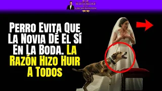 Perro Evita Que La Novia Dé El "Sí" En La Boda. La Razón Hizo Huir A Todos #LeccionesDeVida