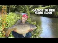 Download Lagu GROTE KARPERS in een KLEINE SLOOT!!