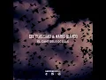 El Cant Dels Ocells - Cee ElAssaad & Mario Bianco