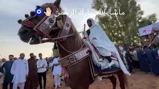 مالي مطراحه صقر  ويفرد فيه جناحه            دندنها