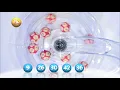France Loto Resultat