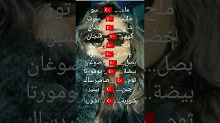 تعلم اللغة التركية بسهولة معنى ماء و حليب وشاي وملح و بلتركي 
