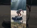 A Florida man helped wrangle up an alligator from along an interstate all while completely barefoot