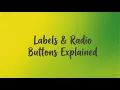 Forms Radio Buttons Labels explained MS Access Paper 2 IGCSE ICT May June 2026 Prep