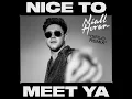 Nice To Meet Ya (Diplo Remix) - Niall Horan & Diplo
