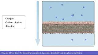 Detailed Animation on Simple Diffusion