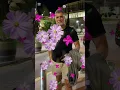 ¡ÖZCAN DENİZ AL DESCUBIERTO! SUS AMORES SECRETOS, ROMANCES Y UNA VIDA QUE NADIE IMAGINABA