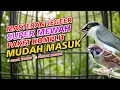 Download Lagu MASTERAN PETULAK JINGJING VS GEREJA TARUNG || GEREJA TARUNG SAMBUNG PETULAK JINGJING GACOR