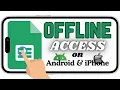 Make Files Accessible Offline in Google Sheets App iPhone Android