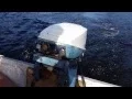 1975 Evinrude 15hp