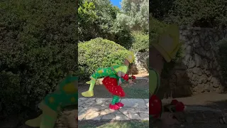 فوزي موزي وتوتي   انا النحلة انا الدبور دندنها