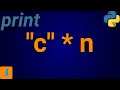 Python Print Character n Times