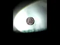 1982 p dime