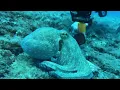 Download Lagu Playa Del Poris De Abona  Tenerife