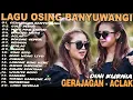 Download Lagu Dini Kurnia - ACLAK, GERAJAGAN, GULU PEDOT - Dangdut Koplo Terbaru 2025 - Full Album Banyuwangi