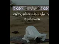 Download Lagu Allahuma rahamna bil quran 🤲🤲🤲❤️🥹 #makkah @Ahmed_alsarwi @ChefAmors @AhmedKarimoo