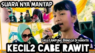 Download Meriah menyambut Tahun Baru -Lagu Lampung Bangga dihakhta - cipt. Rusdy MU, MP3