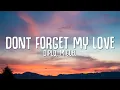 Download Lagu Diplo, Miguel - Don't Forget My Love (Lyrics)