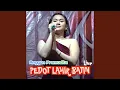 Download Lagu Pedot Lahir Batin (Live)