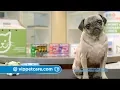VIP Petcare - Look for us at a pet retailer near you