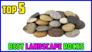 TOP 5 Best Landscape Rocks 2026 That Look Like Designer Gardens